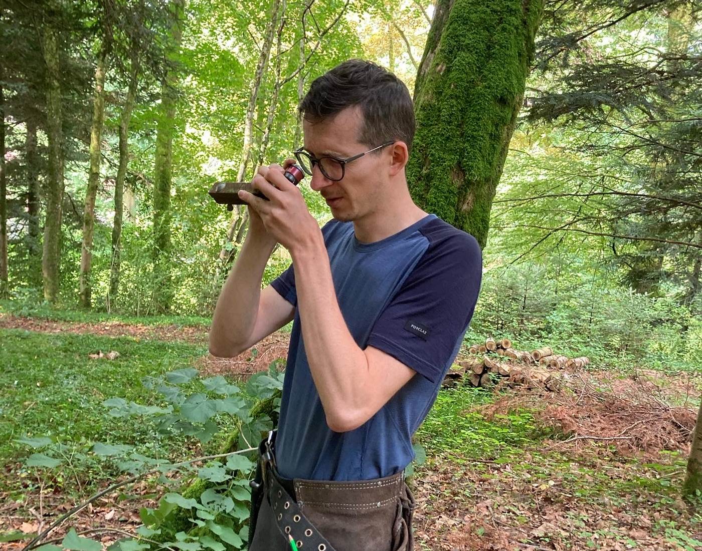 Quentin mesure des arbres