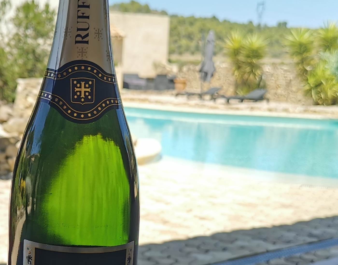 Le terroir de nos hôtes à Le Coq du Nord Mailhac