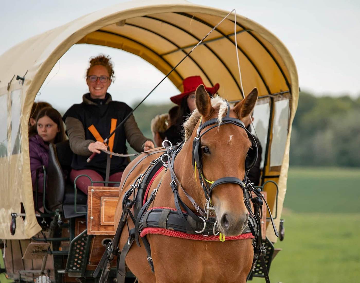 calèche-cheval-monitrice