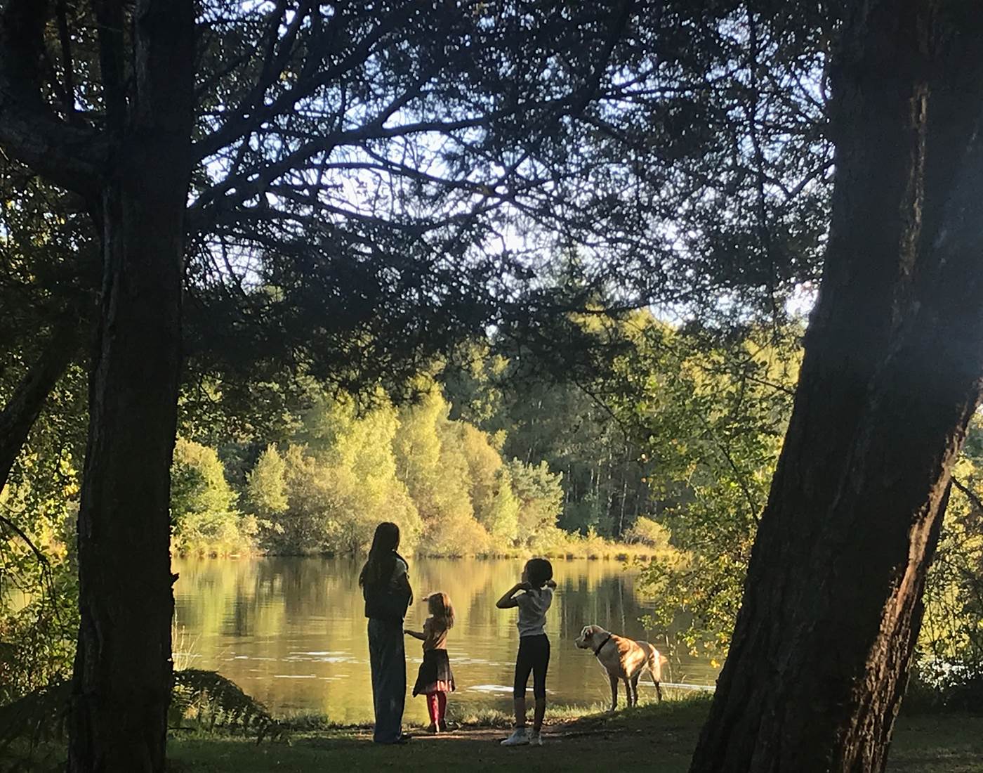 Ballade en famille autour du délicieux Lac du Miel..