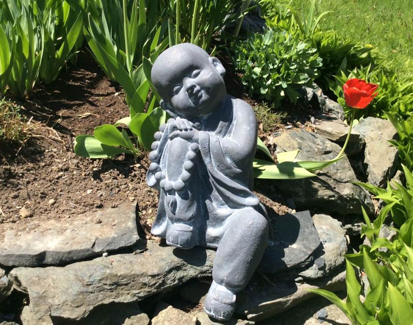 118785771_2693411677645462_6209116103979926724_n-news