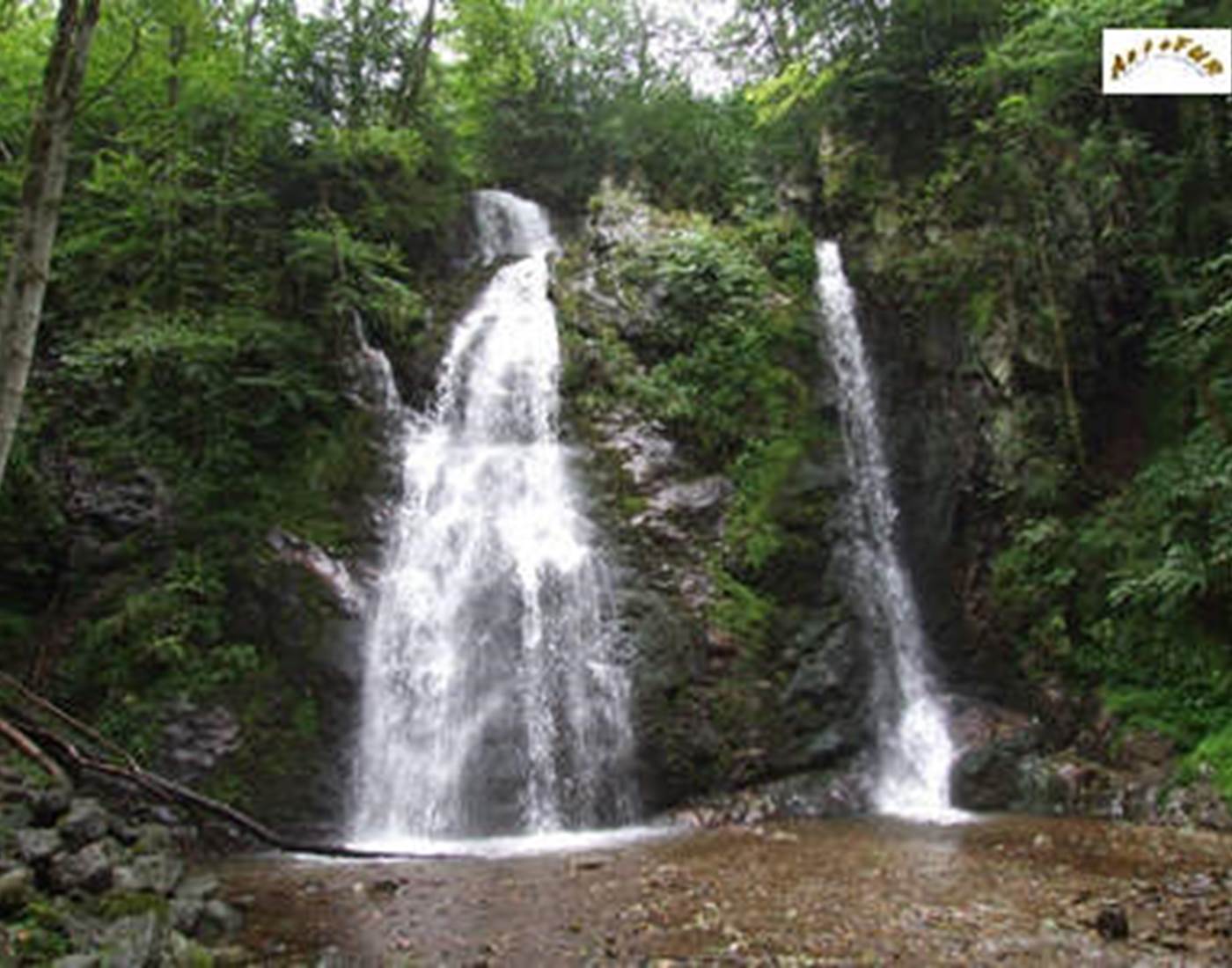 les cascades près du lac de kruth wildenstein