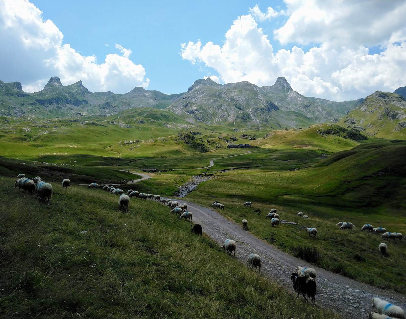 Vallée de Barétous France accueil chevaux accueil cavaliers
