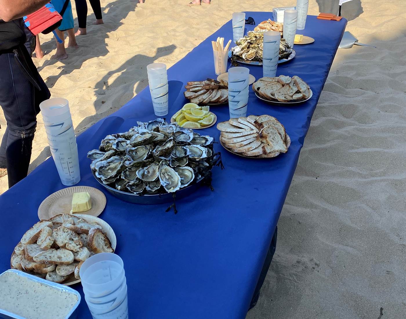 dégustation d'huîtres
