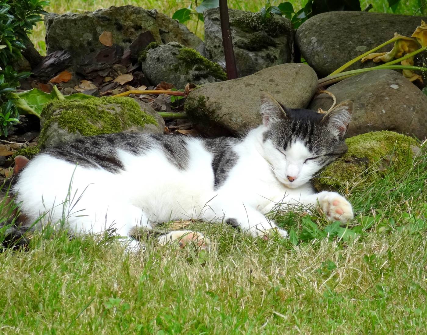 Maison_ sieste de kikuiu