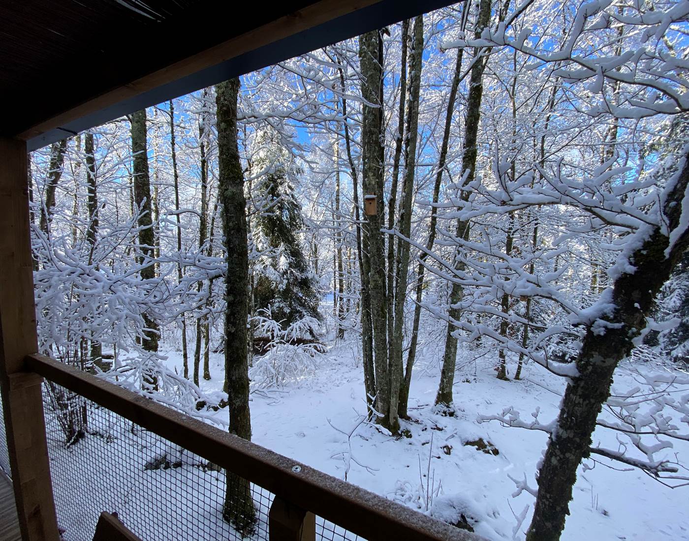 HY•Lødge Spa-6pers N°3