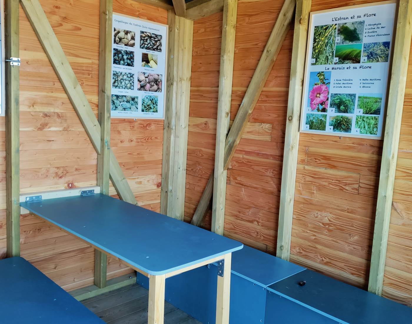 L'intérieur de la cabane