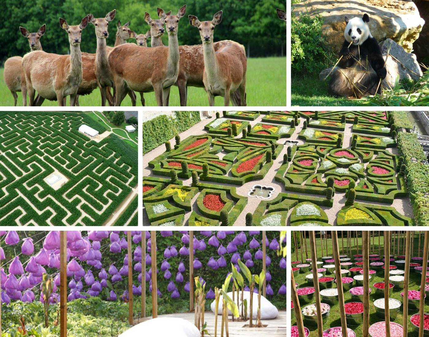 Domaine du Gué du Roi Tourisme Sologne et Nature