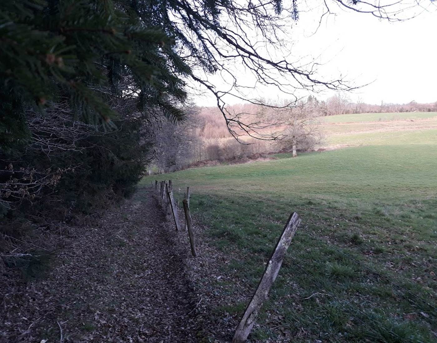 sentier depuis le camping, wandelpad vanaf de camping