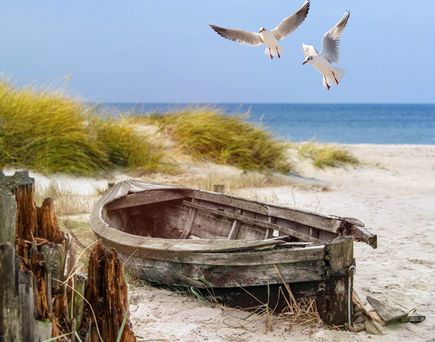 La-cotentine-manche-chambre-hotes-MER-BARQUE