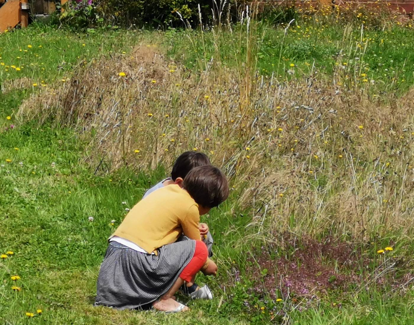 Le jardin-forêt un paradis pour les enfants