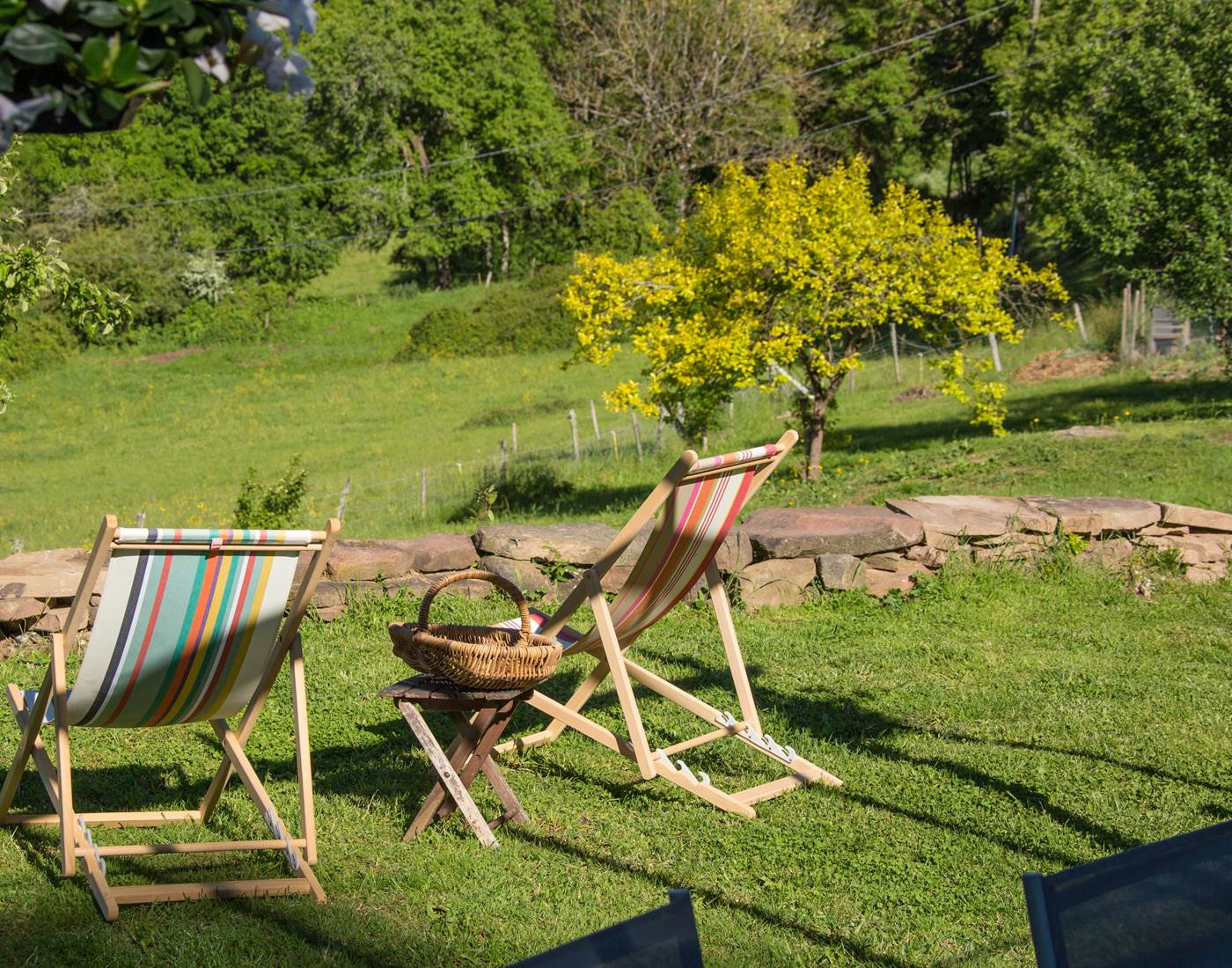 Grande Ourse Jardin 4