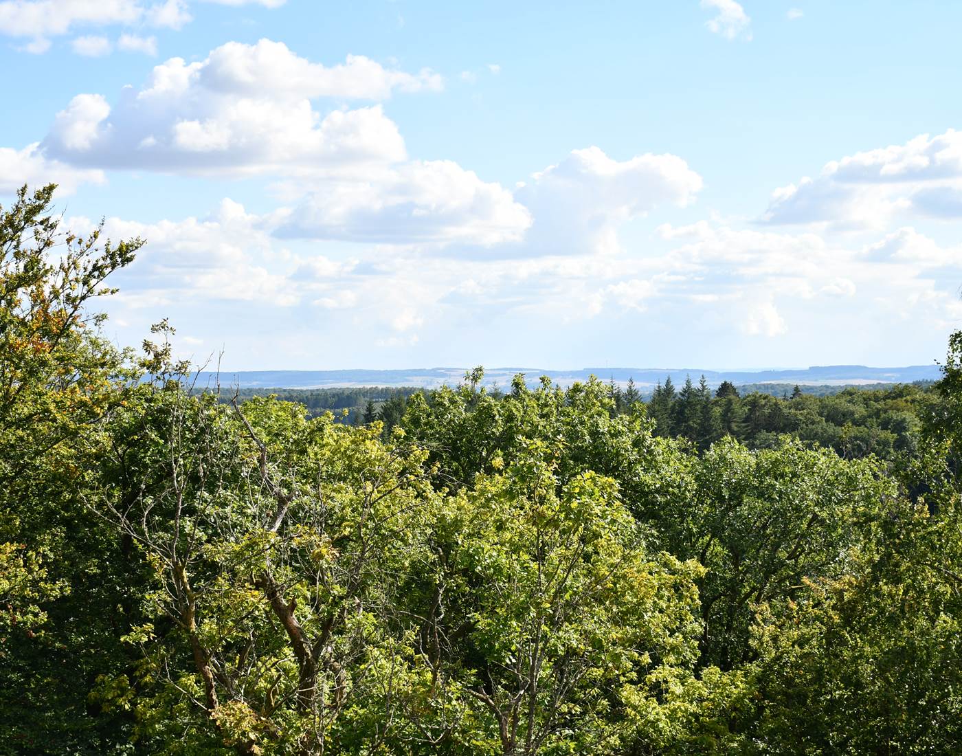 Muno: Paysage vu du sommet de la Roche à l'Appel