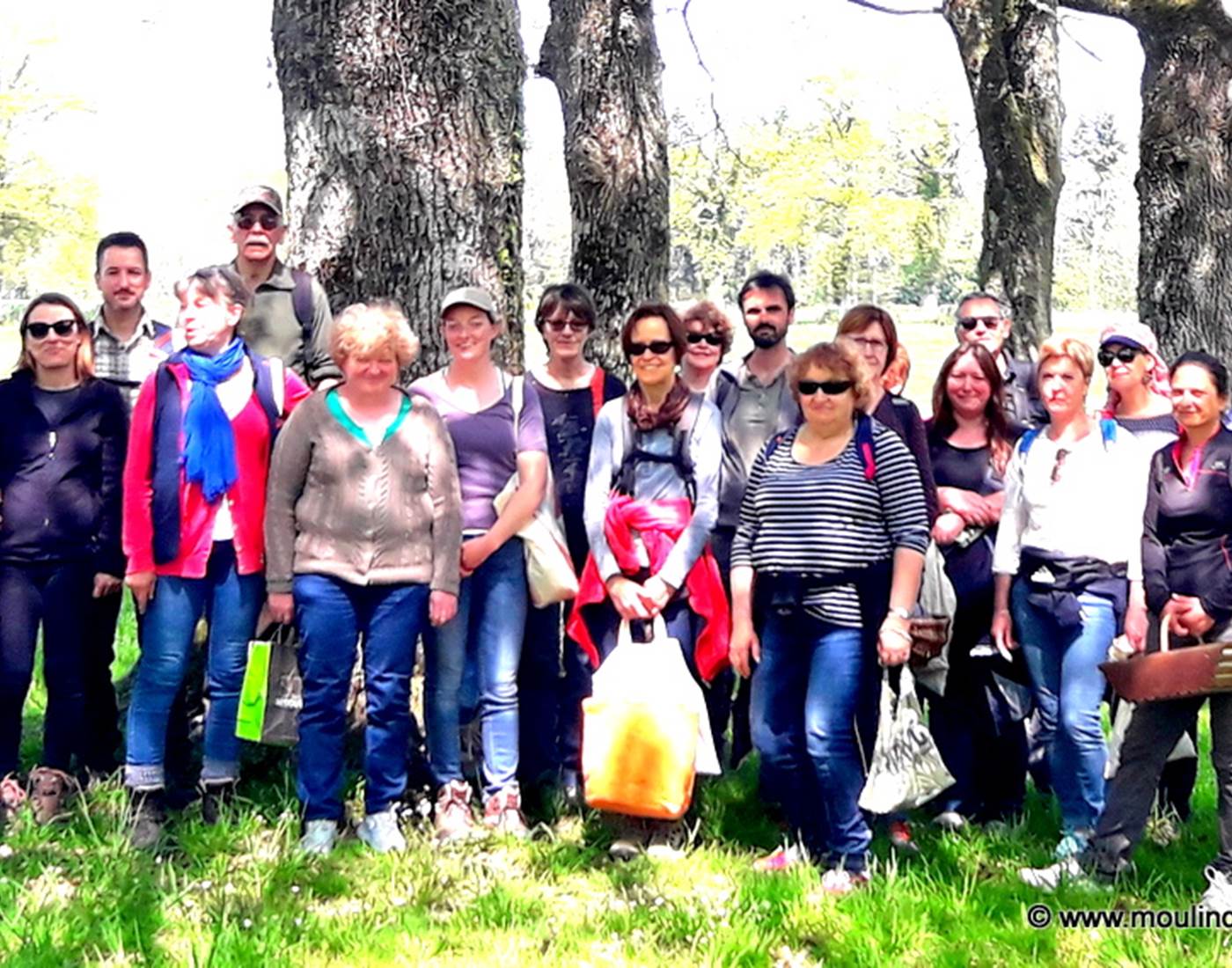 Groupe de la balade
