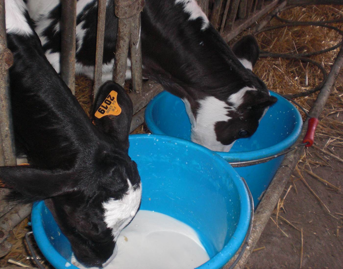 au petit déjeuner !
