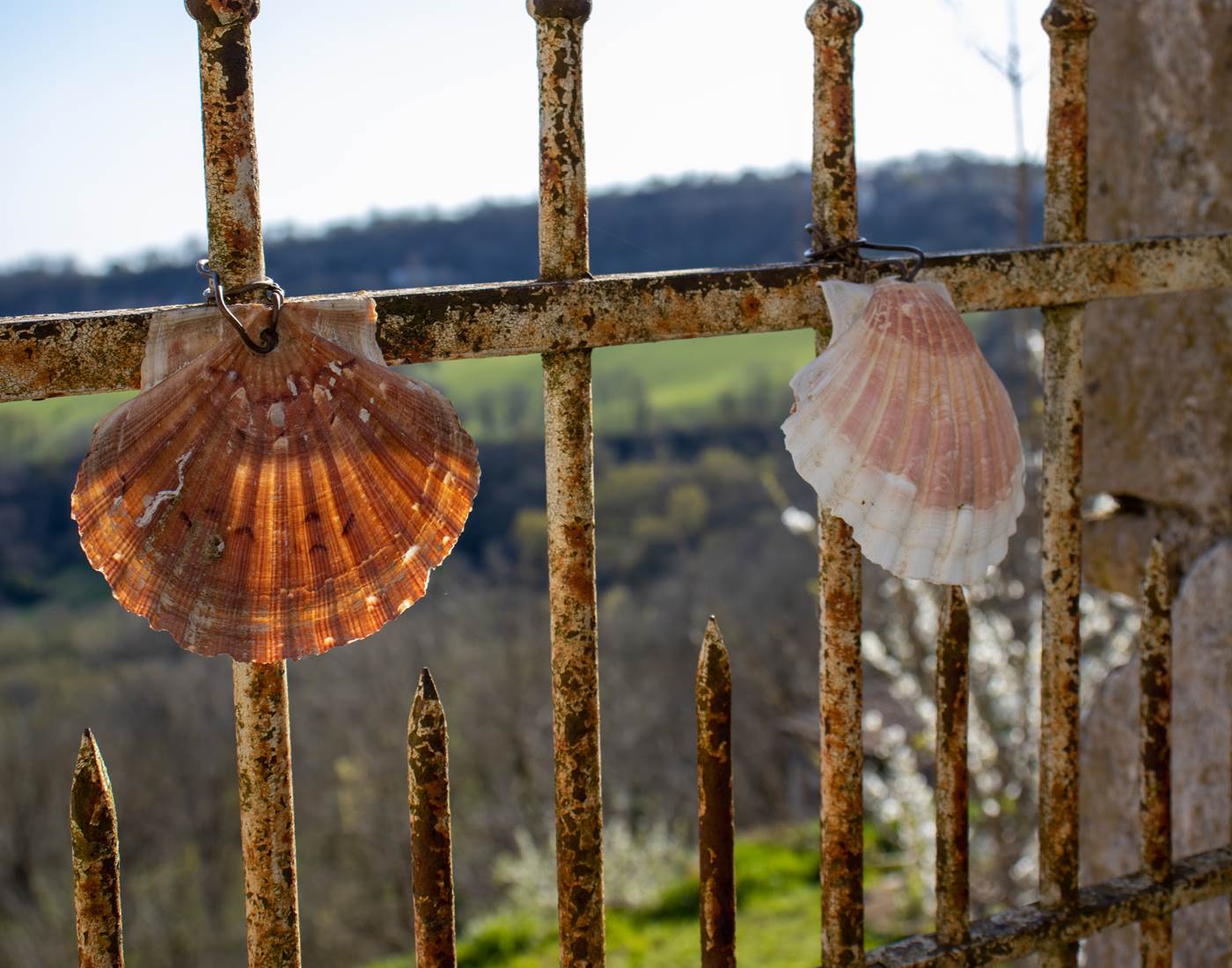 Le symbole du Chemin