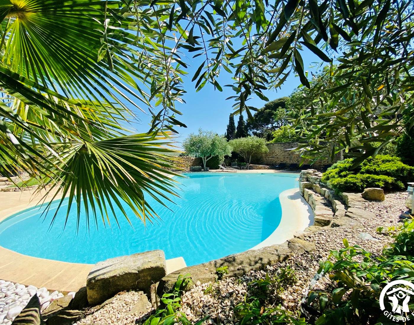 Piscine privée partagée avec tous nos hôtes