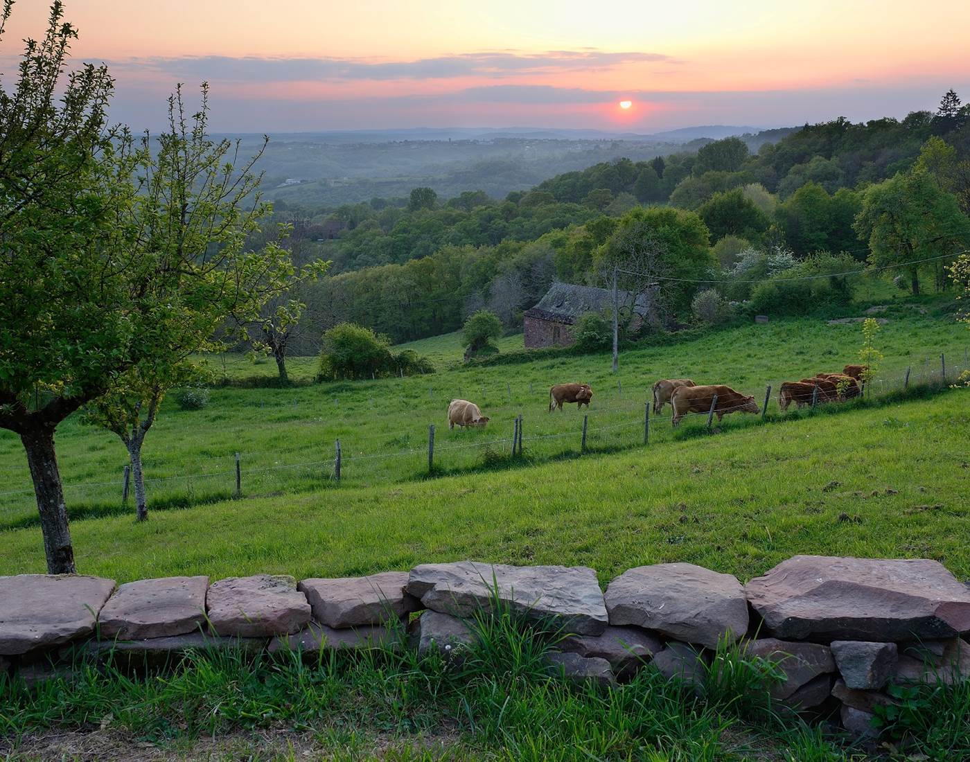 Jardin de la Maison des Etoiles