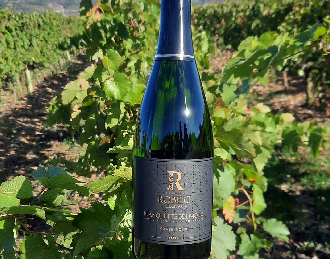 Les fêtes de fin d'années se préparent à Le Coq du Nord-mailhac