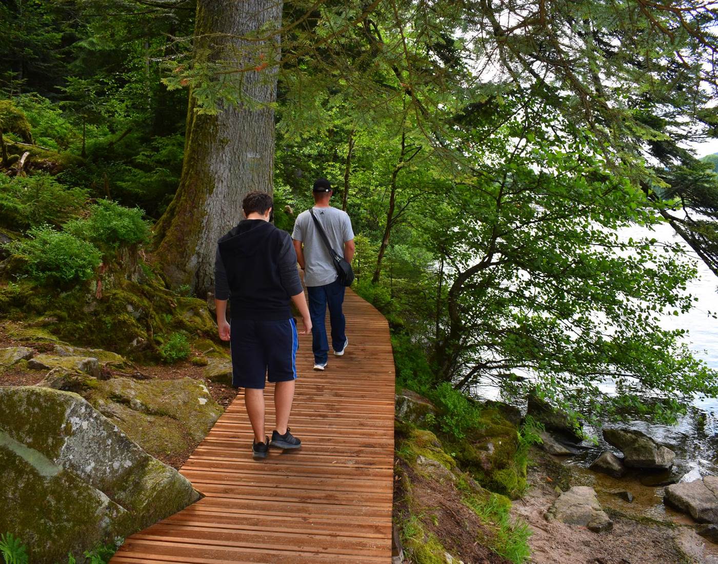 Sentier autour du Lac de Gérardmer, Vosges