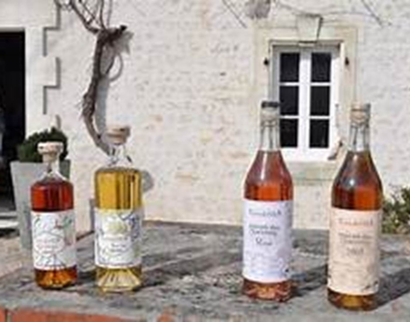 Cognac Contes et Filles