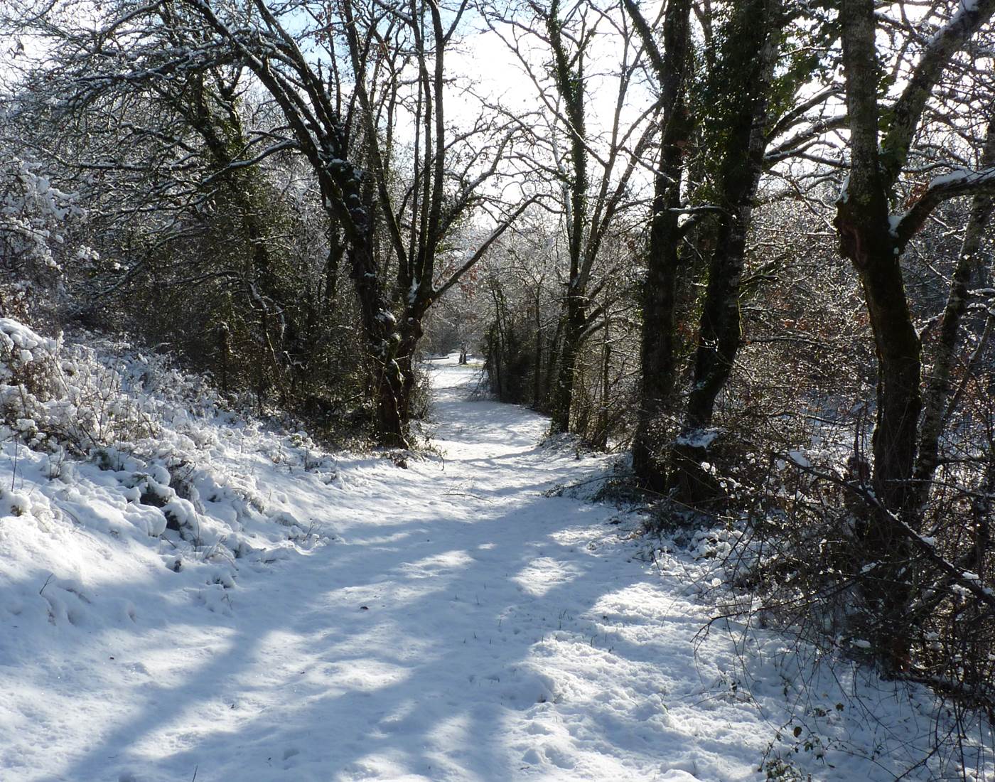 Descente dans le vallon du Pech Chantant.-news