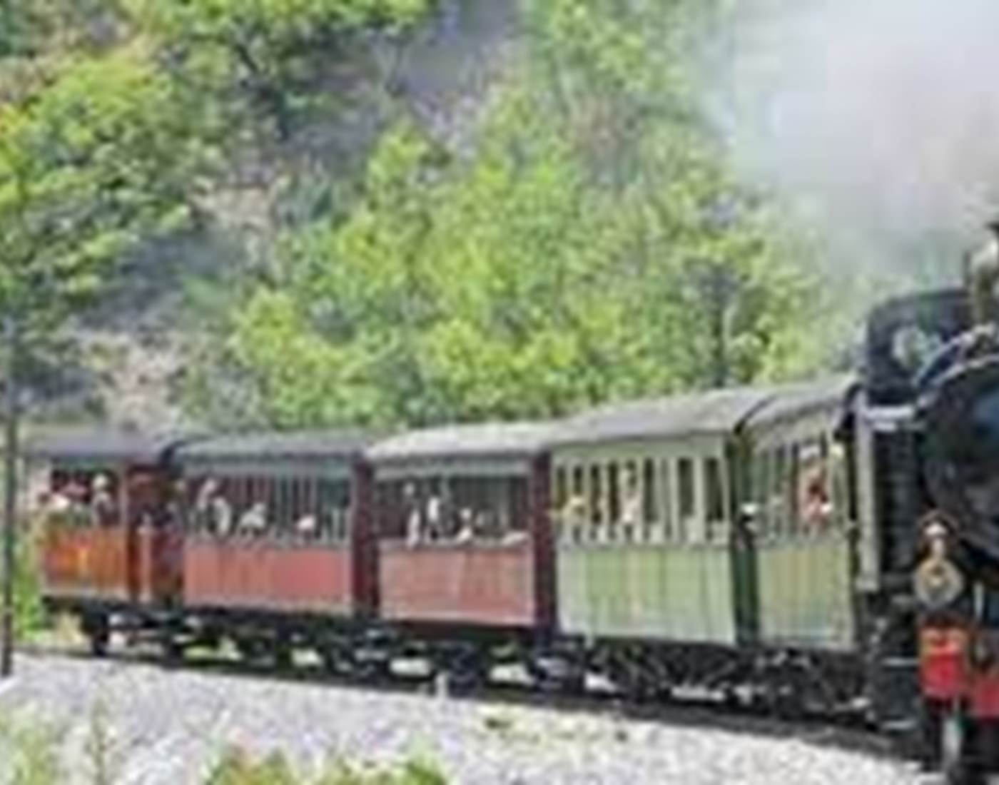 Train des Pignes à vapeur