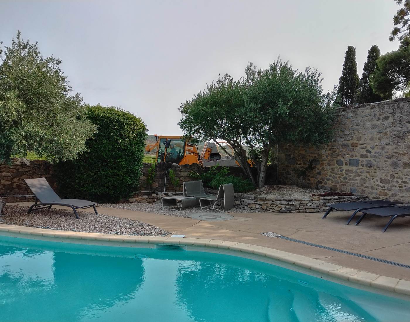 Petit déjeuner en observant les vendanges 🍇🍇🍇