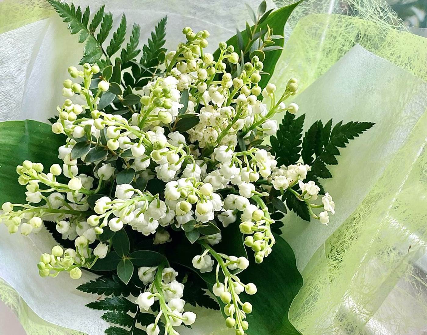 muguet