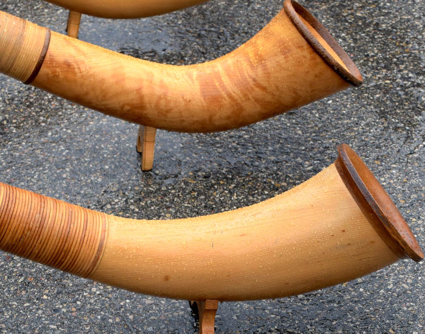 Concert de cor des alpes