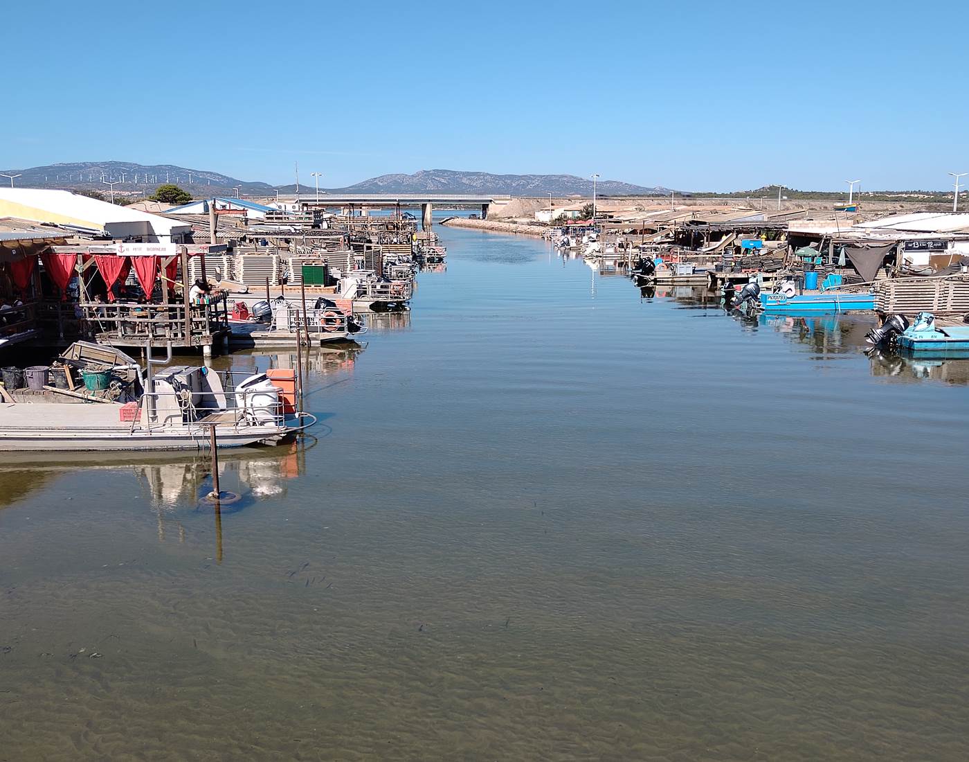 Des huîtres aux étangs de Leucate 🦪🦪🦪