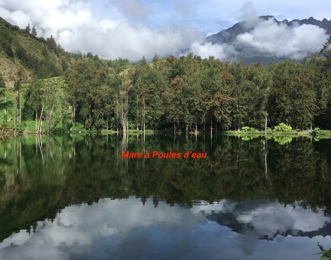 Mare à Poules d'eau