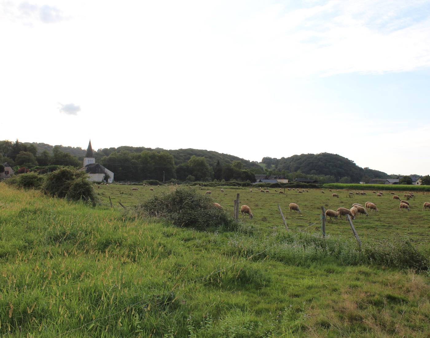 estives pyrénées éco-tourisme