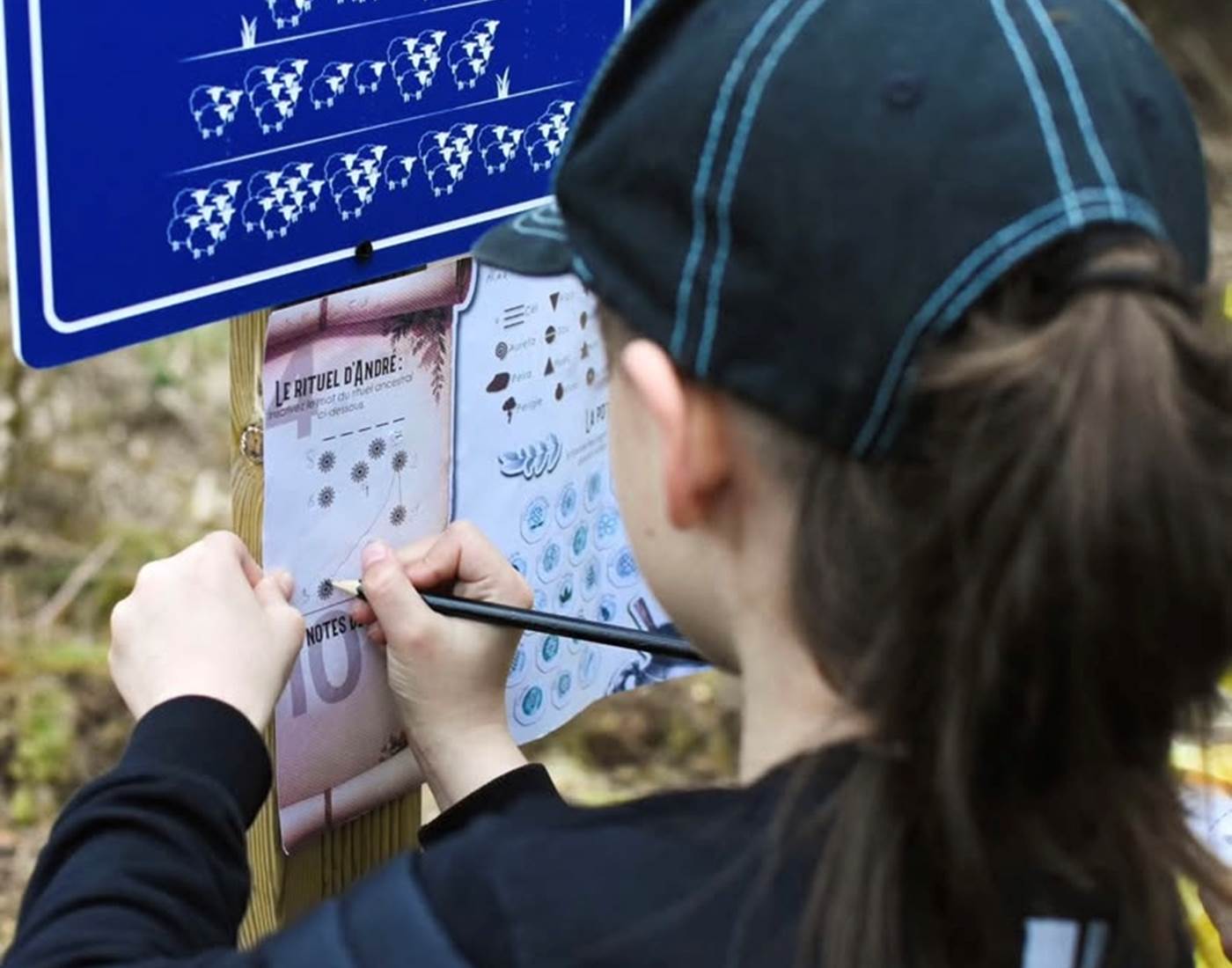 Notez toutes vos réponses de l'exploration en forêt