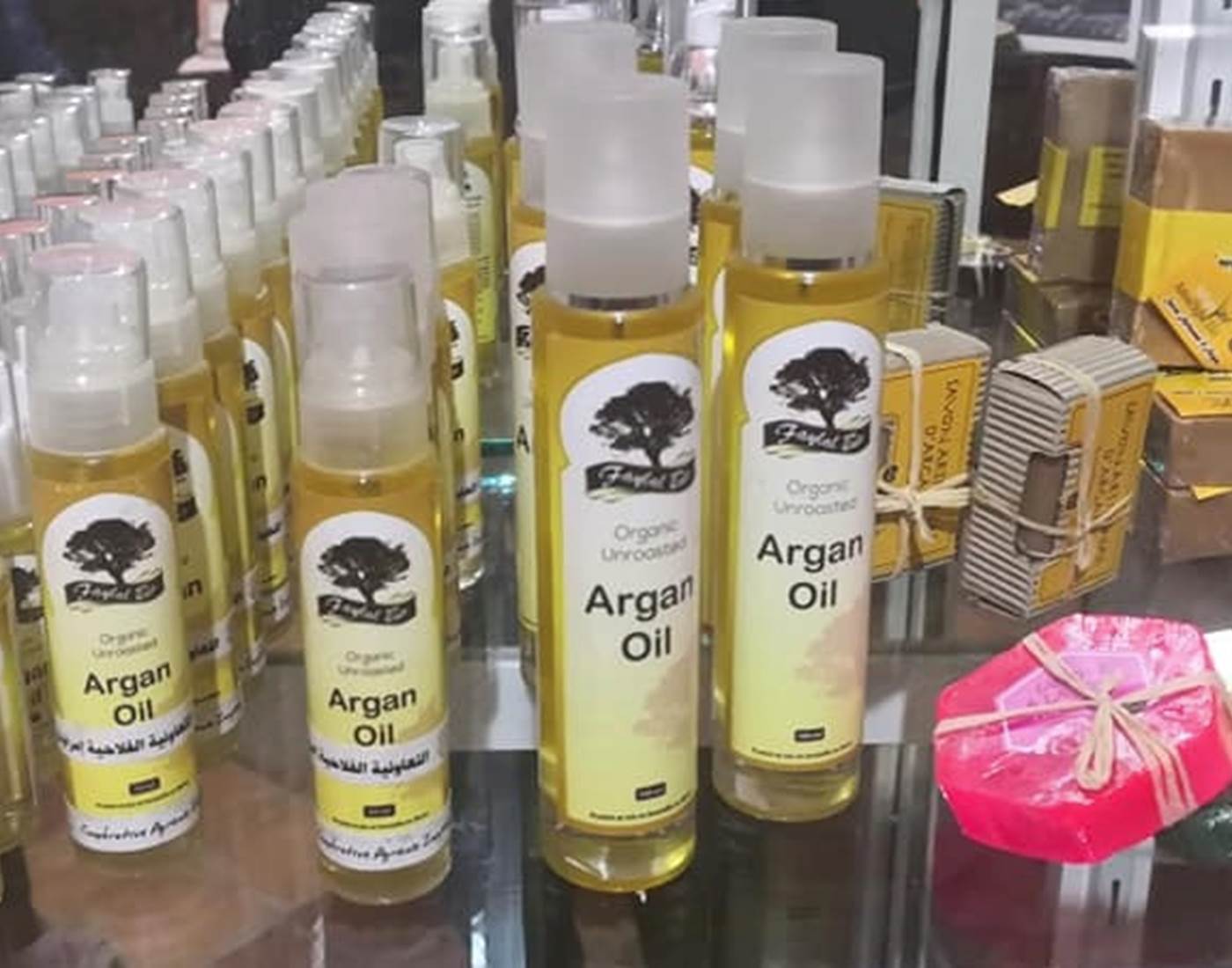 L'Arganier : Un Élixir de Jouvence