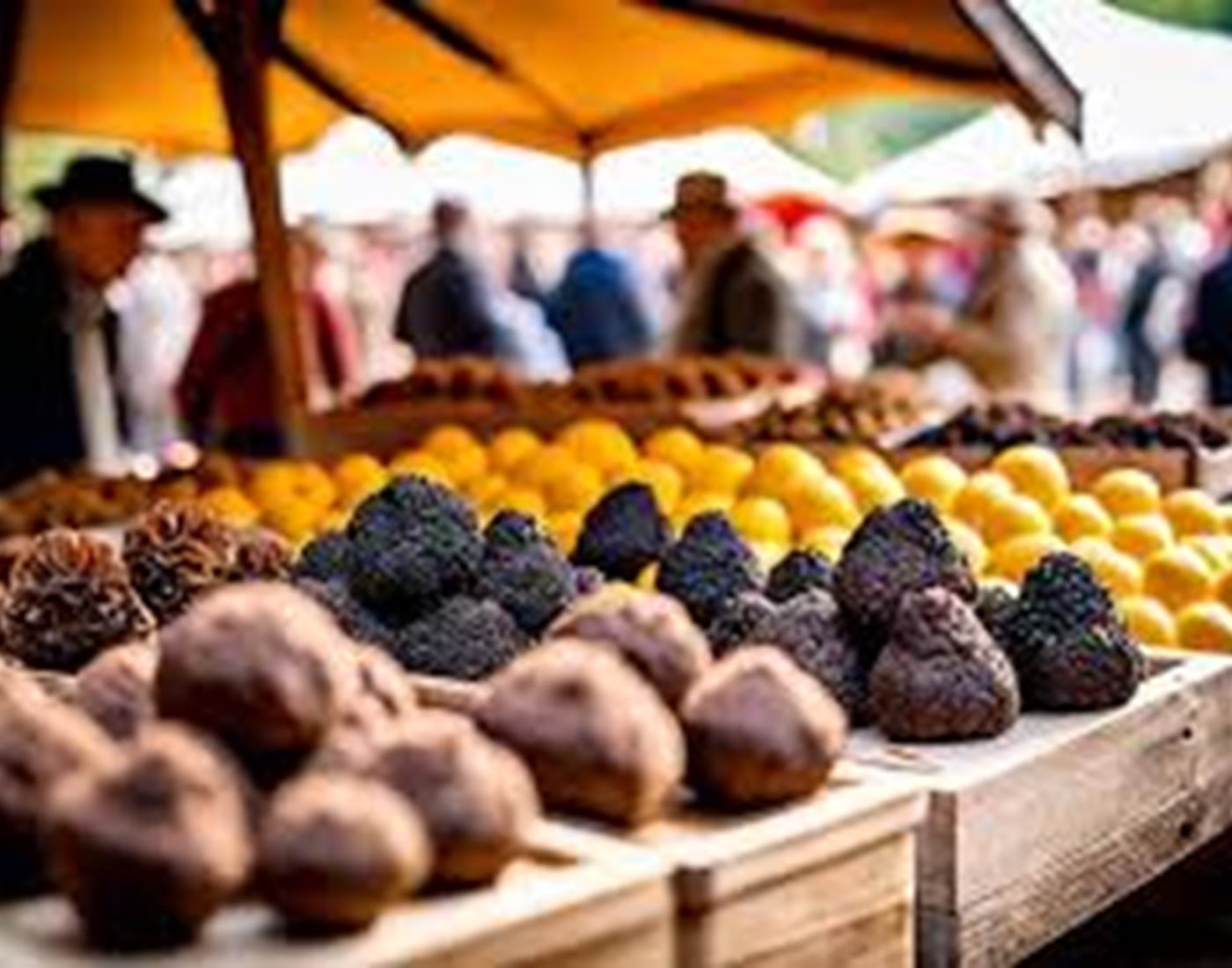 Marché aux truffes
