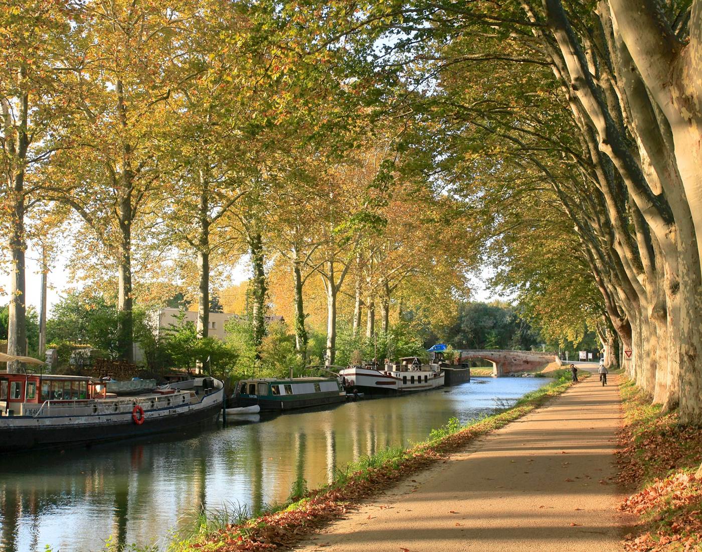 Canal des deux mers à vélo