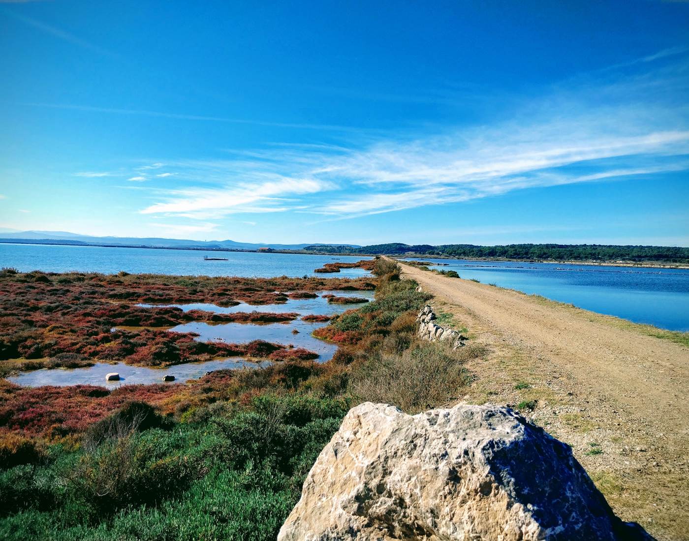 Balade en pleine nature