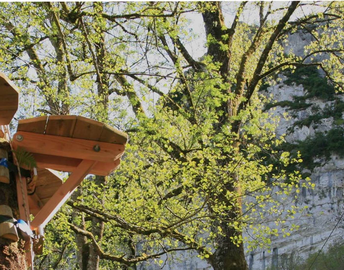 Au coeur des Gorges de l'Aveyron