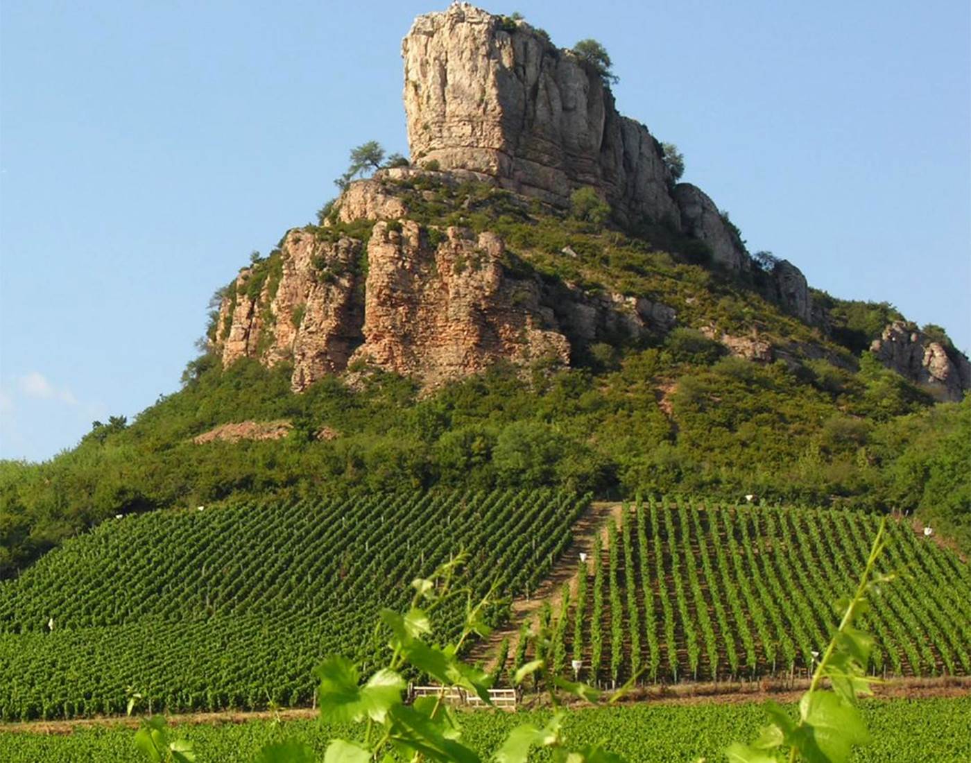Roche de Solutré