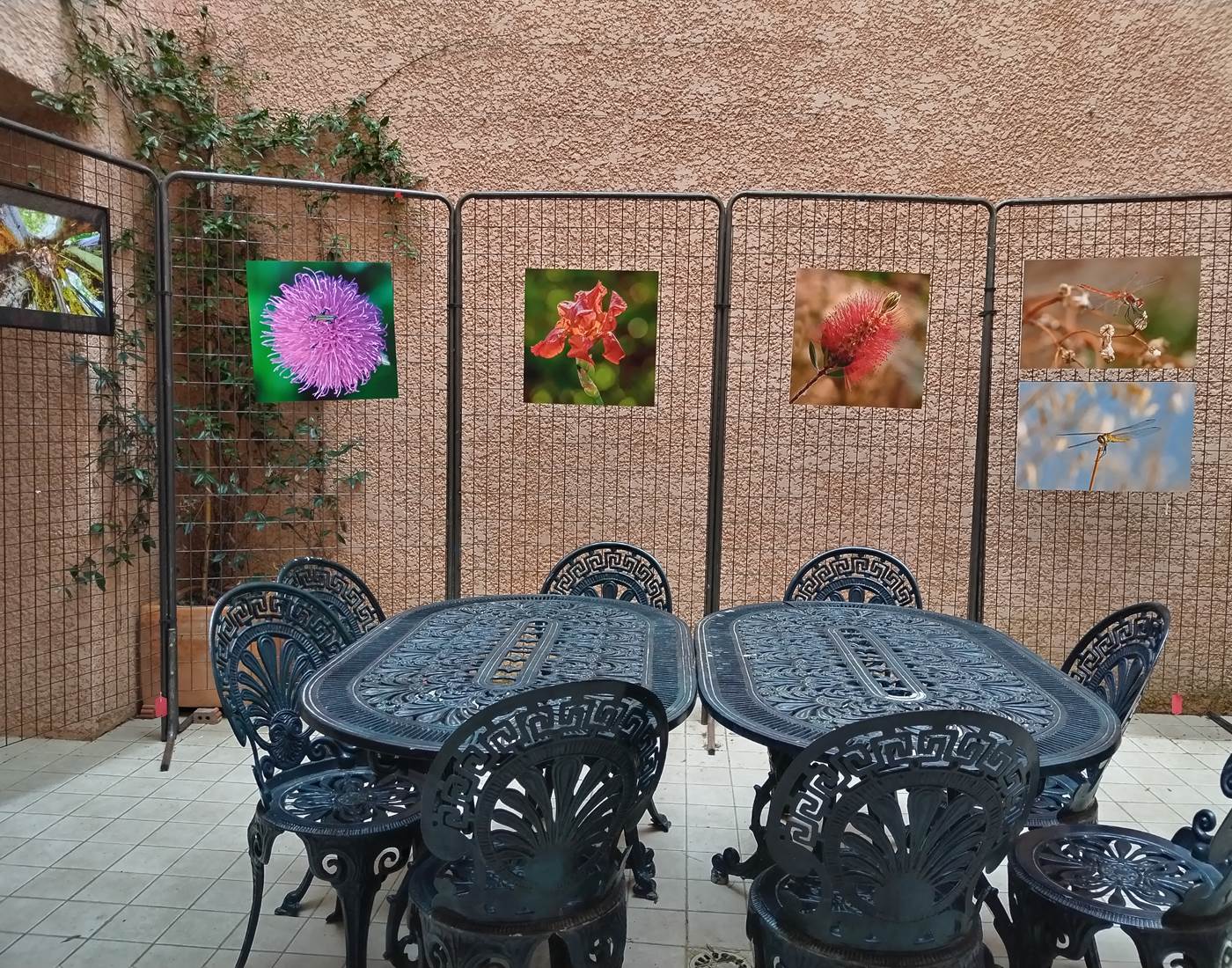 Expostion photos à Mailhac