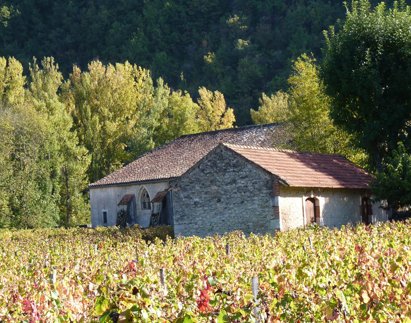 Luzech dans une boucle du Lot-news