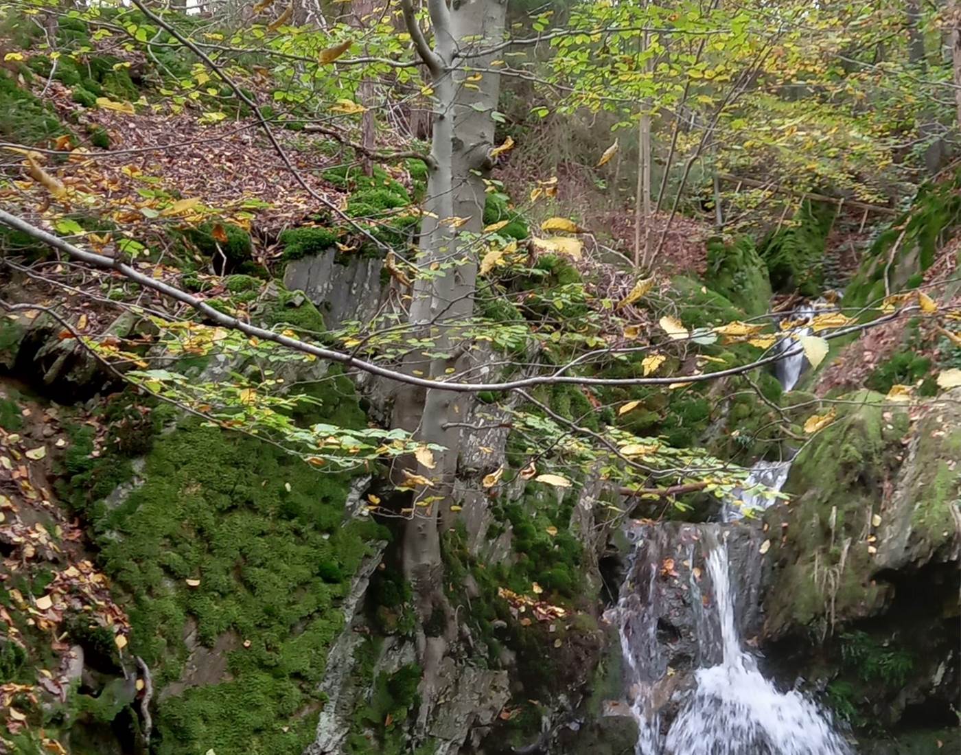 La cascade de Haldeboeuf
