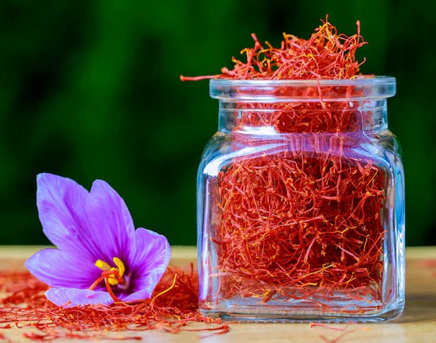 Auberge Kasbah Amoun - Le Safran de Taliouine