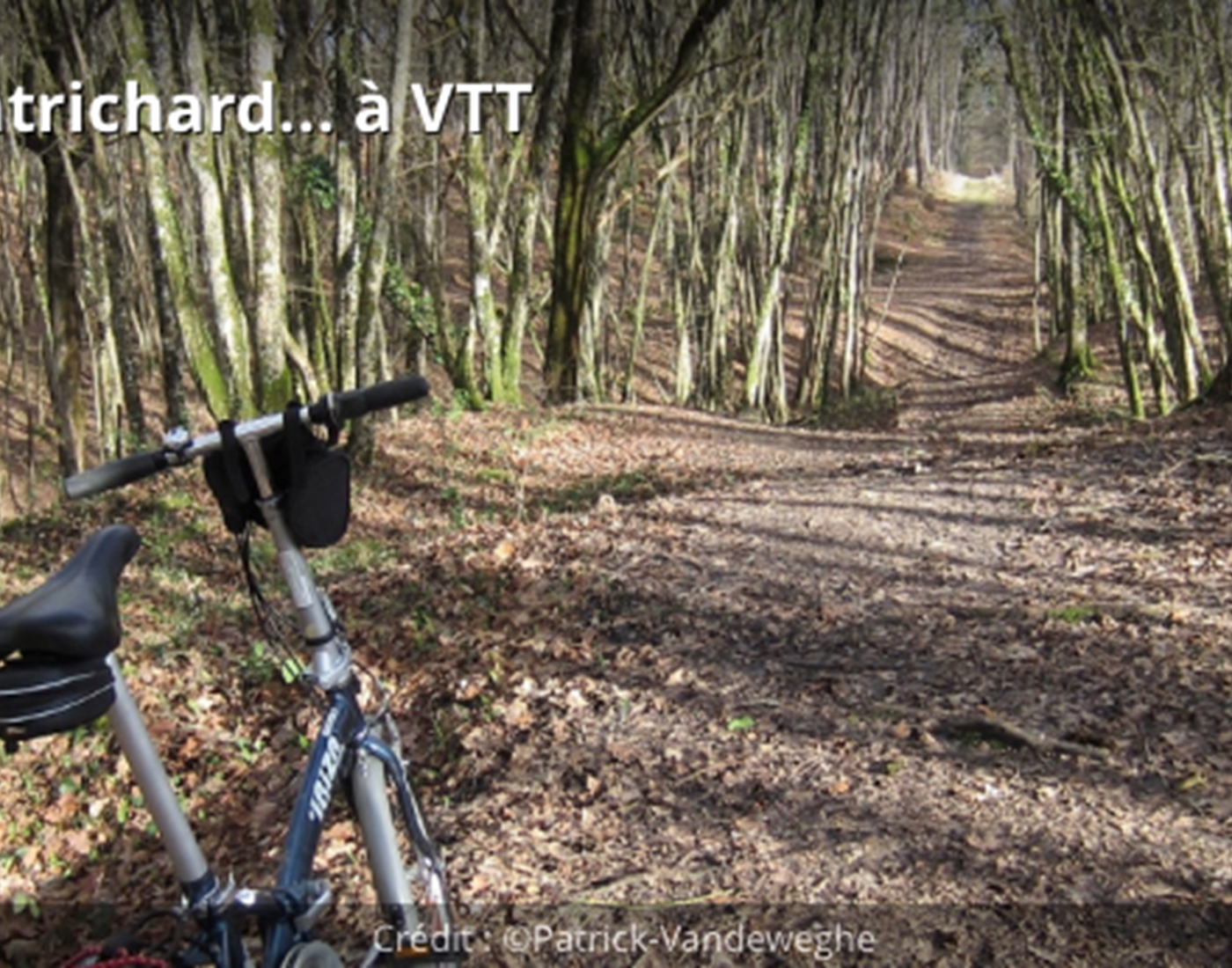 Forêt de Montrichard en vélo