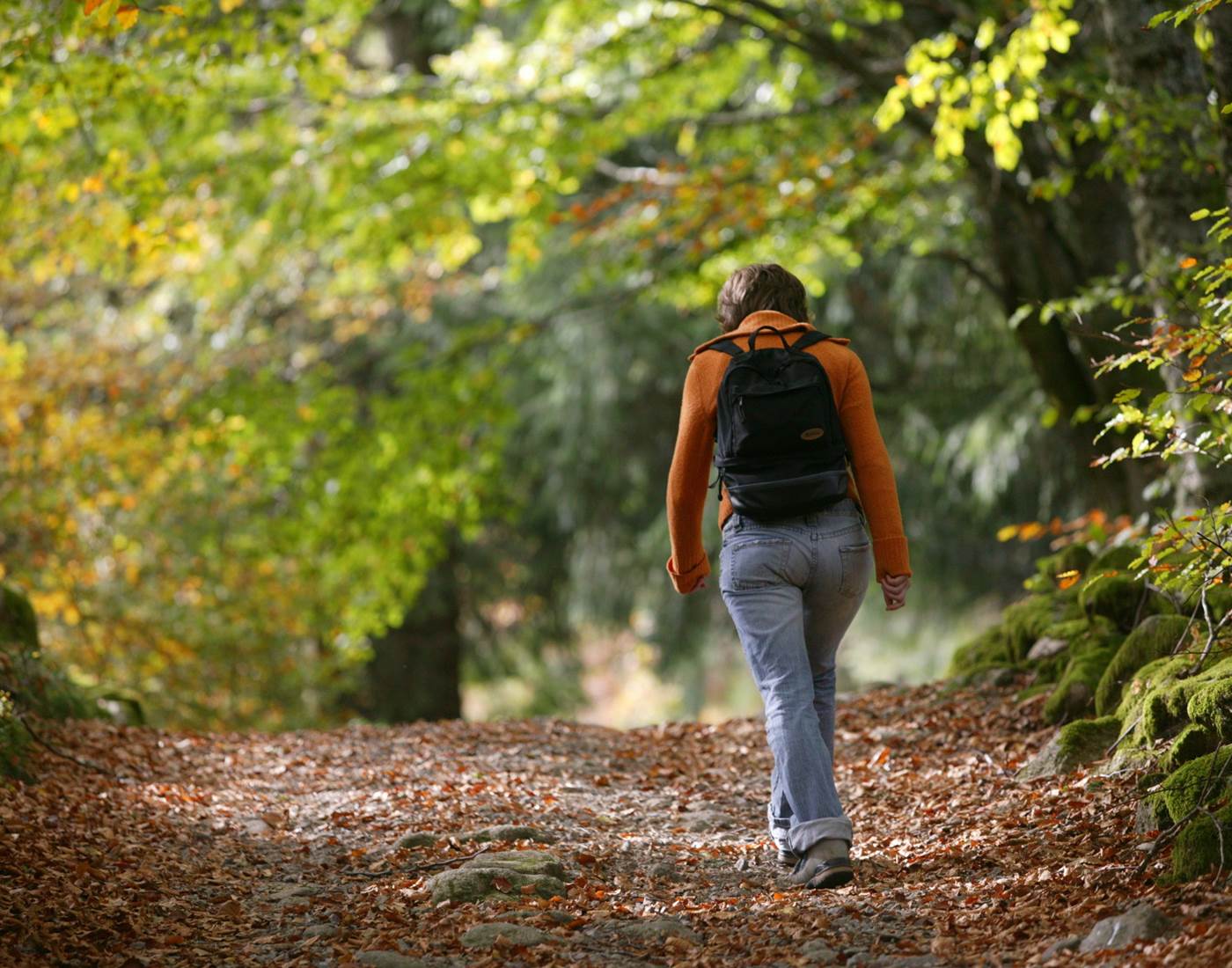 Pierre SOISSONS  Correze Tourisme