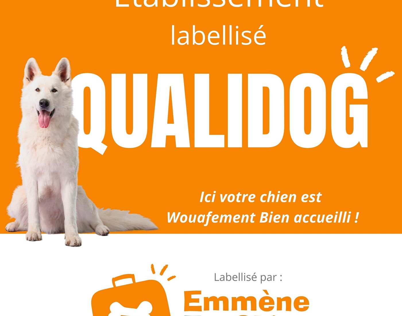 Label Qualidog pour un accueil dogfriendly