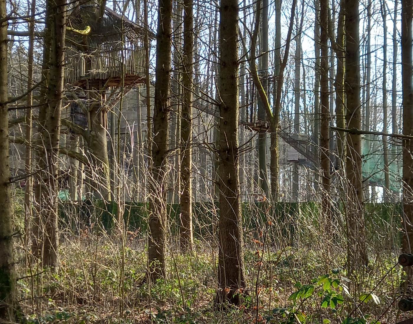 Si vous regardez bien vous voyez les cabanes du Fraxinus