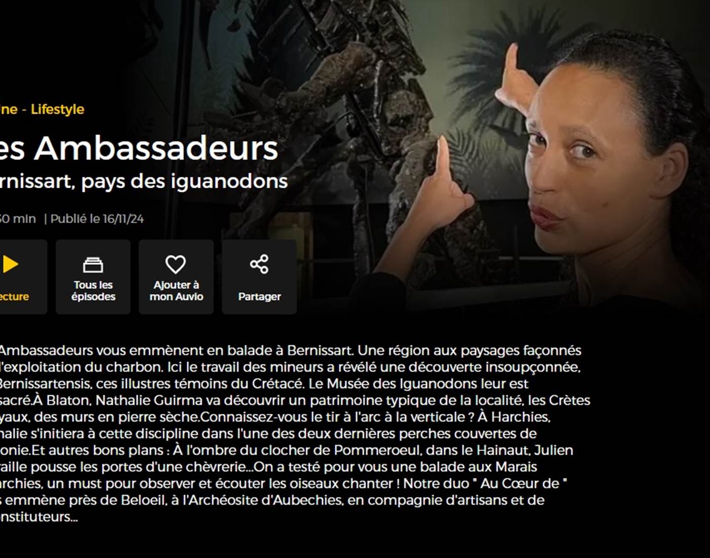 Les Ambassadeurs (RTBF)