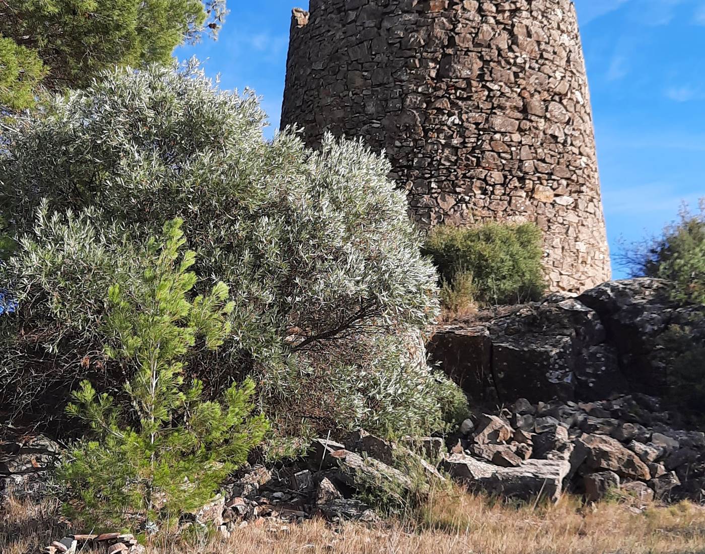 vestiges archéologiques Mailhac